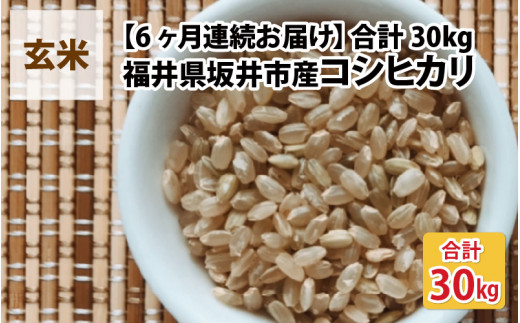 【先行予約】【令和8年産・新米】【6ヶ月連続お届け】福井県坂井市丸岡町産 コシヒカリ5kg×6回　計30kg（玄米）【2026年10月より順次発送予定】[G-11302_02]