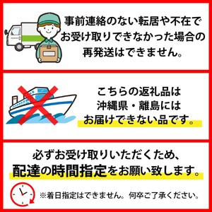 肉そば 一寸亭本店 冷たい肉そば 3人前 山形 肉そば
