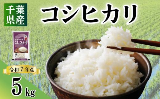 令和7年産 米 コシヒカリ 5kg お米 こしひかり コメ ご飯 おこめ 千葉県産 ライス ブランド米 精米 白米 風味 お米 美味しいごはん おにぎり 直送 家庭用 お試しサイズ 送料無料 ギフト 贈答用 人気 おすすめ こだわり 人気米 千葉米 ふっくら 甘い つややか 朝食 昼食 夕食 お取り寄せ お裾分け ふるさと納税 ふるさと納税お米 ふるさと納税米 千葉県 銚子市 総武米穀卸