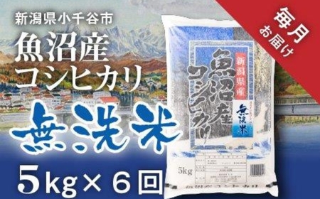 先行予約 魚沼産コシヒカリ 無洗米 30kg 新潟県 |おこめ 5キロ×6回 毎月 定期便 特A評価 無洗