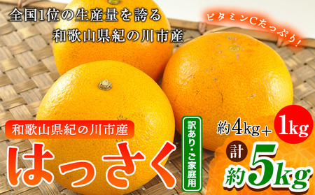 【訳あり/ご家庭用】八朔 4kg＋1kg  計約5kg サンファーム《1月上旬-3月末頃より出荷予定》｜八朔はっさく八朔はっさく八朔はっさく八朔はっさく八朔はっさく八朔はっさく八朔はっさく八朔はっさく八朔はっさく八朔はっさく八朔はっさく八朔はっさく八朔はっさく八朔はっさく八朔はっさく八朔はっさく八朔はっさく八朔はっさく八朔はっさく八朔はっさく八朔はっさく八朔はっさく八朔はっさく八朔はっさく八朔はっさく八朔はっさく八朔はっさく八朔はっさく八朔はっさく八朔はっさく八朔はっさく八朔はっさく八朔はっさく八朔はっさく