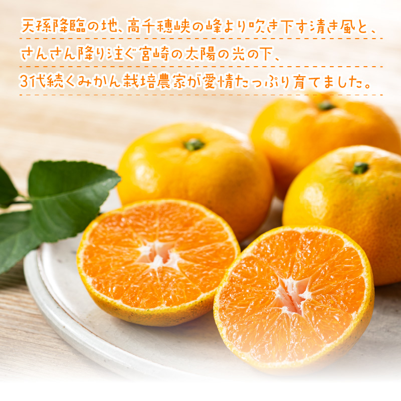 早生みかん及び普通みかん 10kg N0132-YB095