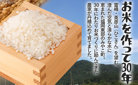 米 元気つくし （無洗米） 5kg 新米予約 福岡県 みやこ町産 チャック付き 防虫 ごはん おにぎり おやつ 福岡県 福岡 九州 グルメ お取り寄せ