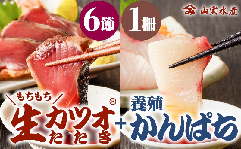 
                  【山実水産】もちもち生カツオ(R)たたき6節+養殖かんぱち柵セット　K046-001
                