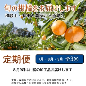 【定期便】家庭用 柑橘定期便 S 3回(7~9月)※北海道・沖縄・離島への配送不可※7月・8月・9月に発送