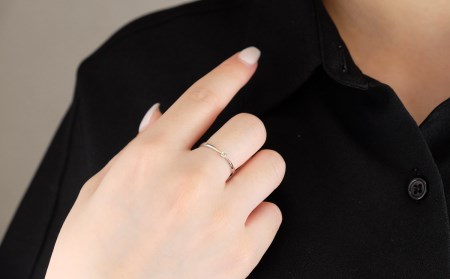 プラチナ　ダイヤ0.04ct　リング　R894DI-P2【サイズ：6号～16号（0.5刻み可）】【053-004】
