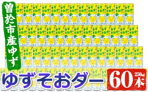 
										
										曽於市産ゆずを使った炭酸飲料！ゆずそおダー(計60本) ソーダ 炭酸 ジュース【ファーマーズマーケットそお太くん市場】A97-v01
									