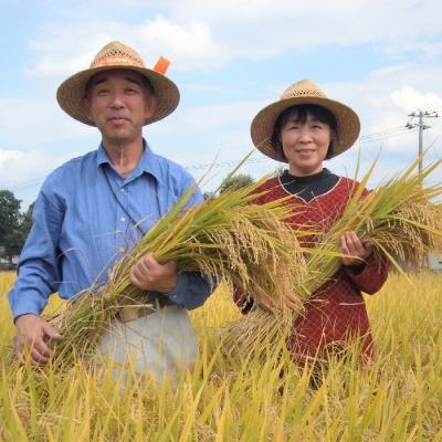 ふるさと納税 長井市 【令和7年産新米】【特別栽培米】遠藤さんの「雪若丸」5kg(5kg×1袋)_A079 |  | 01