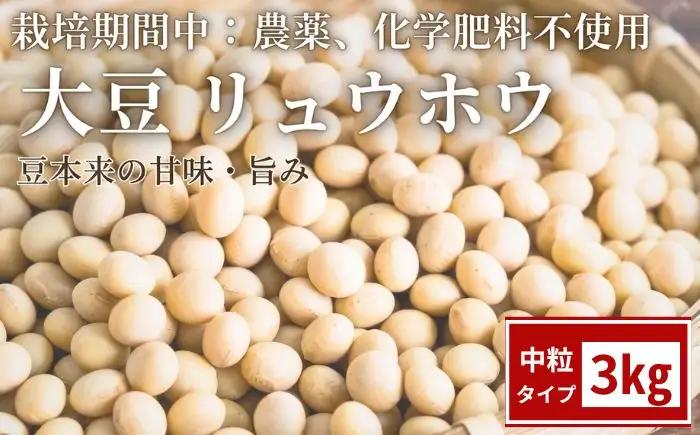 栽培期間中:農薬不使用 大豆 りゅうほう 3kg 【へいわのうえん】 豆 まめ マメ ダイズ 中粒 国産 なっとう 納豆 豆腐 トウフ とうふ 自家製 きなこ きな粉 ミソ 味噌 みそ 煮物 水煮 サラダ カレー トッピング 食材 常備食 大容量 人気 オススメ おすすめ