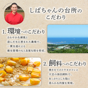 豚バラ ブロック 約2kg 500g × 4パック 国産 小分け 【 豚バラ 】