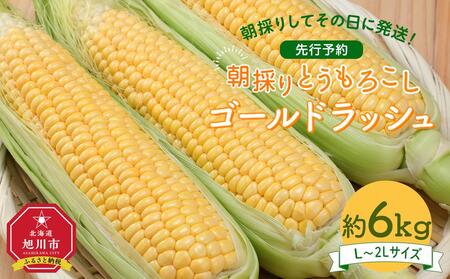 【先行予約】朝採り とうもろこし ゴールドラッシュ 約6kg (L～2Lサイズ×15本) (2025年8月下旬発送予定) 【 人気 北海道産 糖度 生 野菜 スイートコーン 産地直送 バーベキュー BBQ コーン 旬 お取り寄せ 旭川市 北海道 】_01707