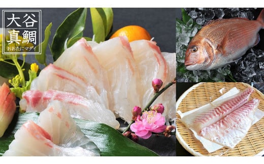 魚 刺身 セット タイ カンパチ 鯛 勘八 高級 葉 にんにく 調味料 タレ付き セット 有機栽培 健康食品 高知県産 ギフトセット 須崎市