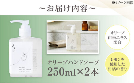 オリーブハンドソープ【AKI no SHIMA no MI】250ml×2本 美容 ボディケア ハンドケア 江田島市/リベラグループ[XAJ113]