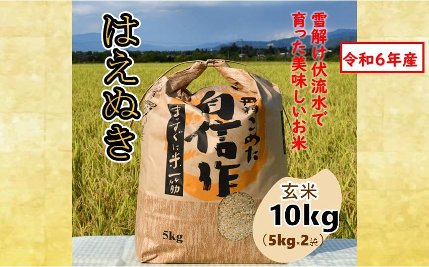 
            人気のブランド米　はえぬき　玄米10kg（令和6年山形県飯豊町産）
          