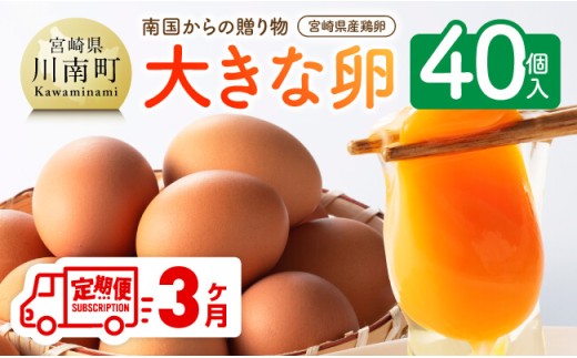 【3ヶ月定期便】 宮崎県産鶏卵 「南国からの贈り物」大きな卵40個入り（35個+破損補償5個） 【 卵 たまご 新鮮 おうちごはん タマゴ おうち時間 】