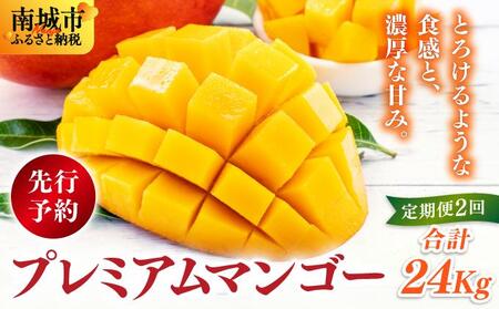 【先行予約】アップルマンゴー24kg　2回に分けて発送   I  アップルマンゴー あっぷるまんごー マンゴー まんごー フルーツ 完熟  家庭用 24kg   沖縄県 南城市 ふるさと納税 一般社団法人 南城市観光協会 南城市地域物産館	 	