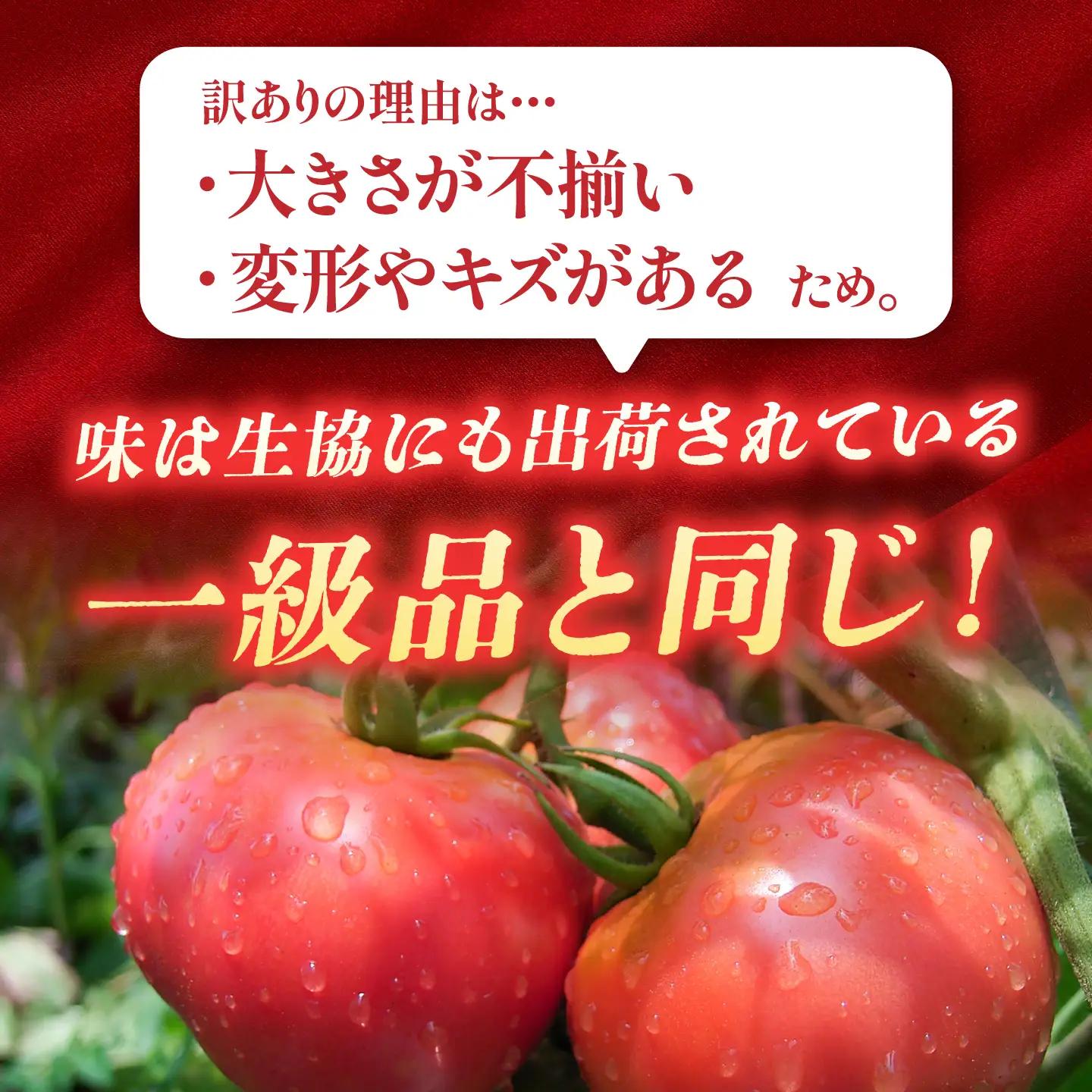 【先行予約】訳ありトマト 約2キロ / 馥郁農園[AUCK013] トマト