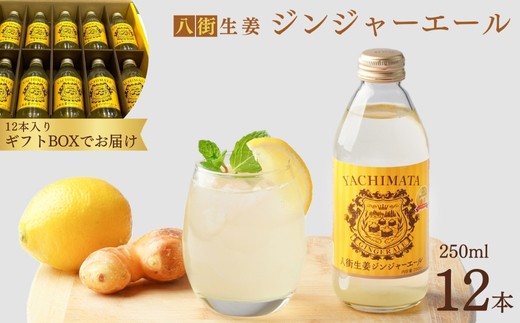 
            ＼ ギフトにおすすめ ／ 大人 の 辛口 ジンジャーエール 250ml × 12本 贈答用 ギフト ギフト用 八街産 生姜 しょうが 八街 ジュース ジンジャー 瓶 ビン セット
          