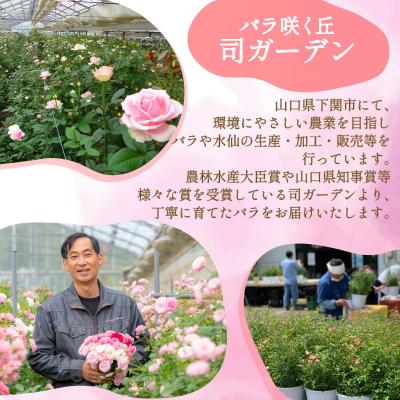 ふるさと納税 下関市 バラ 花束 50本 赤 JI008-1 |  | 01