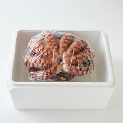 ふるさと納税 いすみ市 地だこ 1杯 (1.8kg〜2.0kg) |  | 03
