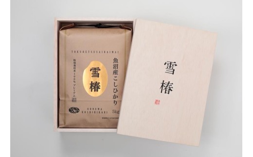 【木箱入り】【令和7年産】魚沼産コシヒカリ「雪椿」5kg (5kg×1袋) 特別栽培米 | 米 お米 新潟 魚沼 魚沼産こしひかり コメ おこめ 白米 精米 最高級 ギフト 新潟県 津南町 越後雪椿産業株式会社