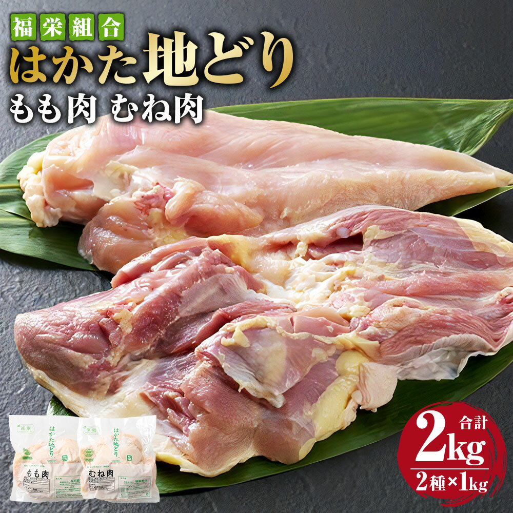 【ふるさと納税】福栄組合 はかた地どり もも肉 むね肉 セット 各1kg 合計2kg 2種 博多 地鶏 むね もも 鶏むね 鶏もも 鶏肉 肉 お肉 モモ ムネ 冷凍 国産 福岡県産 送料無料