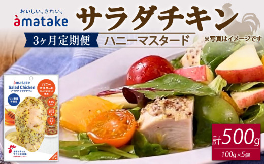 サラダチキン ハニーマスタード味 100g×5個 【3回(3ヶ月定期便)】