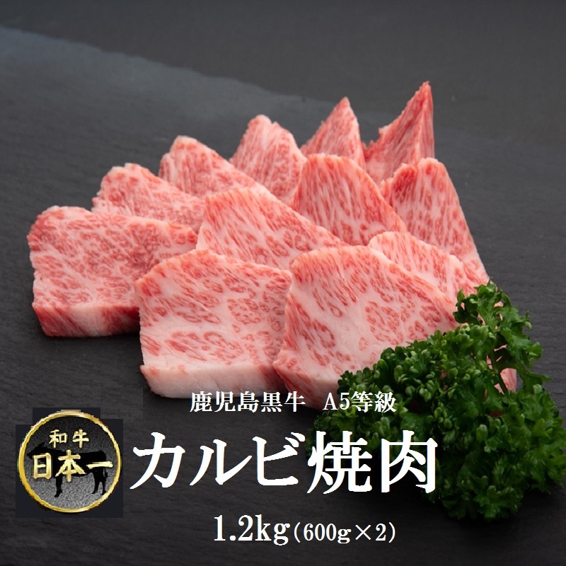 【B01032】鹿児島黒牛 A5等級 カルビ焼肉　1.2kg_イメージ1