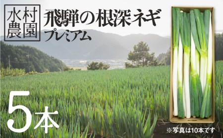 《令和7年産先行予約》水村農園 飛騨の根深ネギ プレミアム ねぎ 5本 飛騨産野菜 旬の野菜[Q330re] syun81