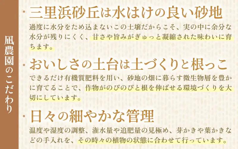 先行予約 完熟ミディトマト 1kg 中玉トマト 2026年10月上旬以降順次発送予定 [A-22101]