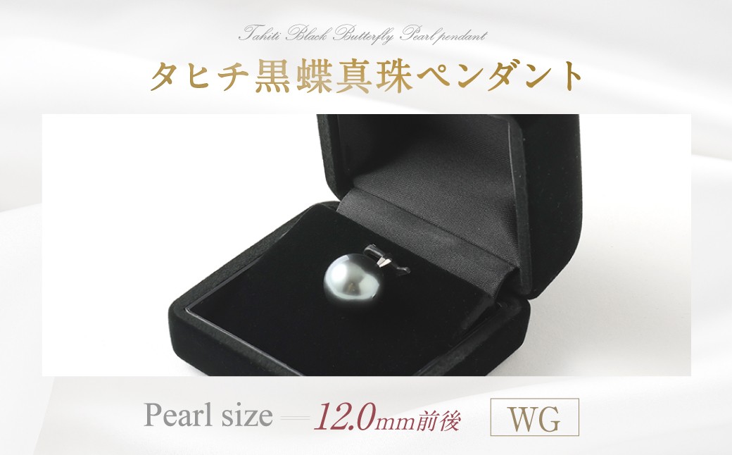 
            タヒチ 黑蝶 真珠 ペンダント 12.0mm UP  WG（K18） 真珠 ネックレス アクセサリー 装飾品 福岡県 嘉麻市
          