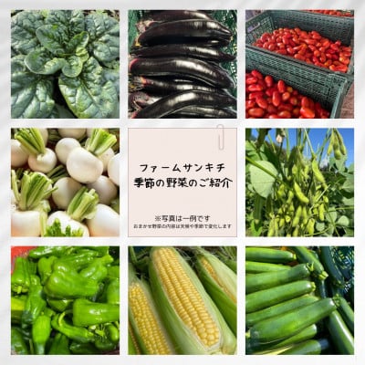 画像はイメージです。