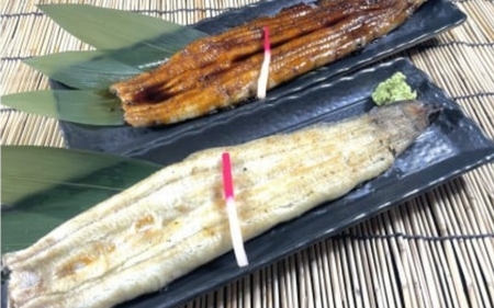鰻 骨抜き 特選国産雌うなぎ 白焼き1尾160g以上（秘伝タレ付き）【osge0001】