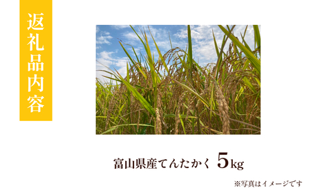 ＜厳選＞令和6年産 富山県産 てんたかく 5kg | 吉笑米 富山県 氷見市 天高く 米 R６ 白米 新米 こだわり