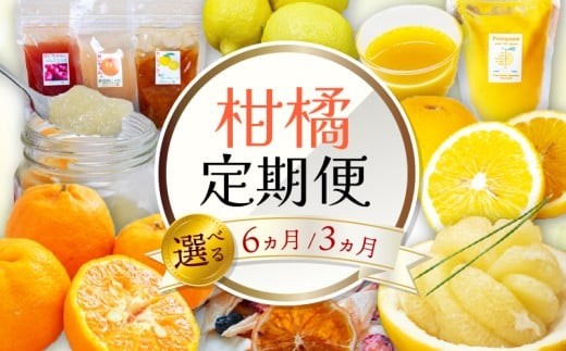 
                  【選べる回数】 3～6回定期便 果物 定期便 ぽんかん 土佐 文旦 防腐剤 不使用 柑橘 蜜柑 みかん mikan 柑橘定期便 柑橘類 詰合せ 詰め合わせ 訳あり オレンジ フルーツ お取り寄せ 家庭用 フルーツ定期便 フルーツジュース 果物定期便 果物類 果物の詰合せ 高知県 須崎市 頒布会 3ヶ月 3カ月 3か月 3回 6ヶ月 6カ月 6か月 6回 5万円 50000円
                