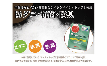 リバーシブル無地カラー・こたつ掛け布団【長方形大判：205×245cm】（KSI004）  お色：ダークグリーン/ライトグリーン