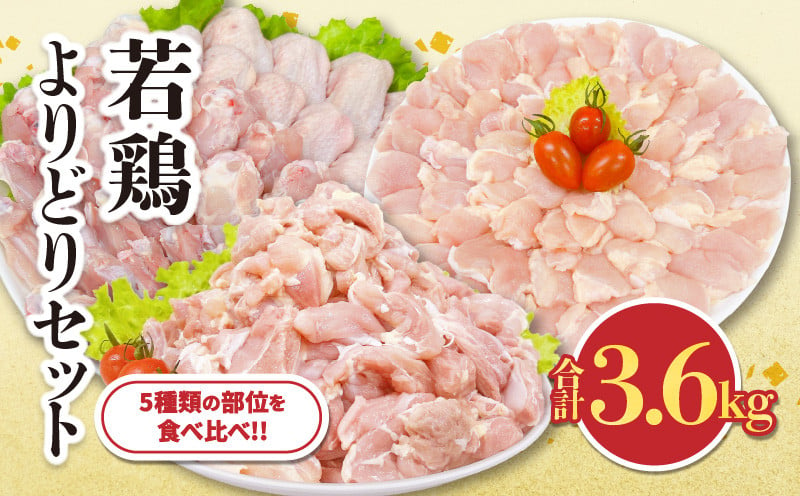 
            【チョイス限定】若鶏 よりどり セット 合計3.6kg 鶏肉 国産 チキン 鶏もも肉 切身 手羽先 手羽中 チキンリブ 手羽元 肩肉 人気 小分け 便利 おかず お弁当 おつまみ 食品 真空パック BBQ 唐揚げ お取り寄せ おすすめ ご褒美 記念日 お祝い おすそ分け 日南市 宮崎県 送料無料_CC56-24
          