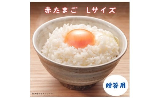 
                  小川エッグの赤たまごLサイズ贈答用 ／ 赤たまご たまご 卵 玉子 タマゴ 60個 80個 120個 160個 新鮮 旨み 甘み 贈答用 贈答 ギフト 贈り物 千葉県 匝瑳市
                