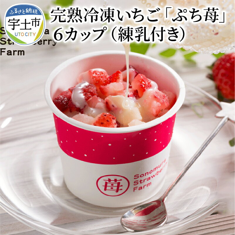 【ふるさと納税】園村苺園 宇土産 完熟冷凍いちご「ぷち苺」50g×6カップ 練乳付き【熊本県宇土市】