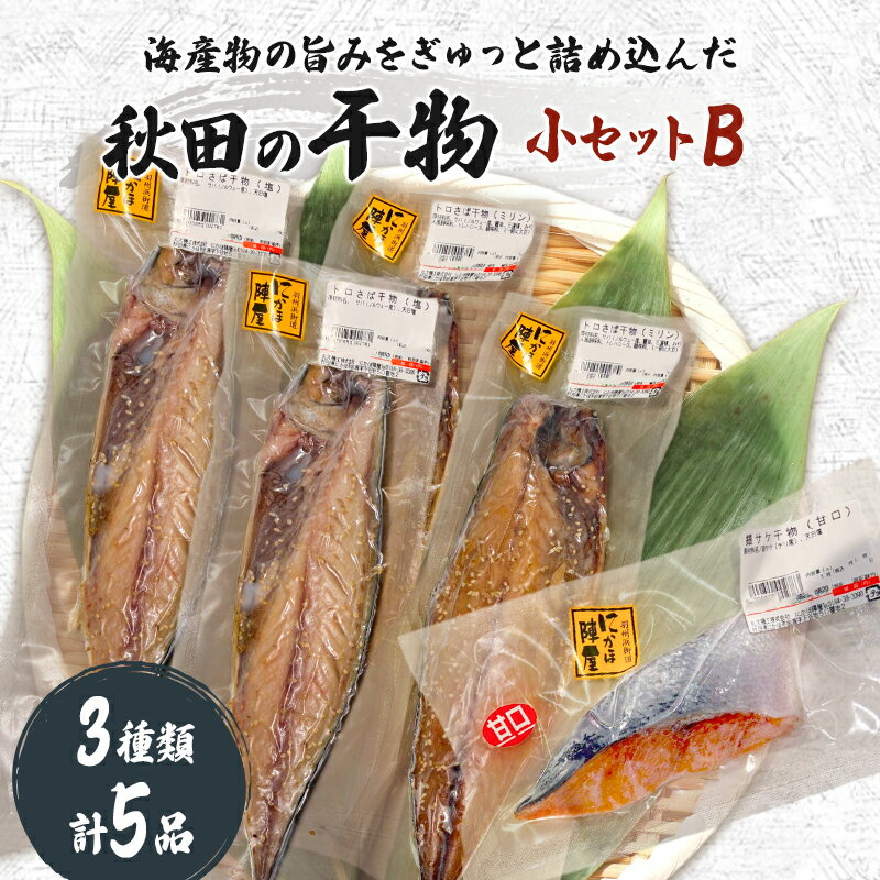 【ふるさと納税】干物小セットB 5品 ＜トロさば（塩）×2 トロさば（みりん）×2 鮭（甘口)×1＞【 にかほ市 干物 干し物 魚 贈り物 晩御飯 おつまみ 冷凍 保存 】