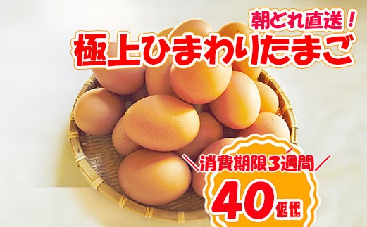 B1807極上ひまわりたまご（40個程度）※破卵補償10個含 卵 鶏卵 玉子