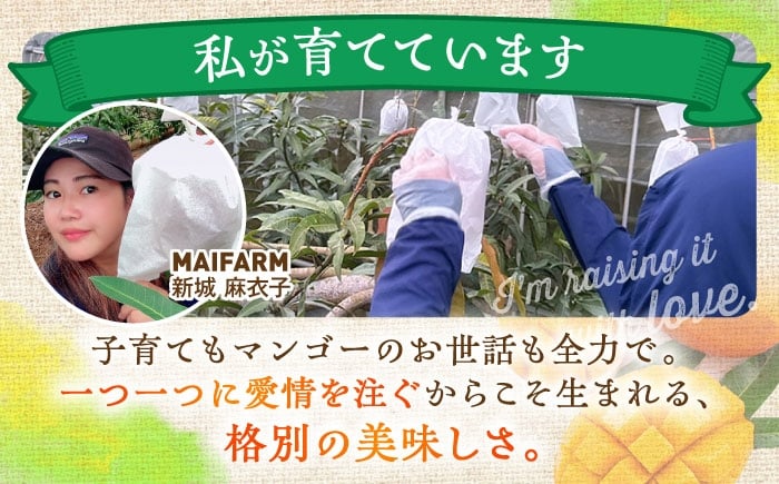 沖縄県産 完熟マンゴー 訳アリ 2kg (3～5玉) マンゴー 沖縄 果物 フルーツ ギフト 家庭用 訳あり まんごー