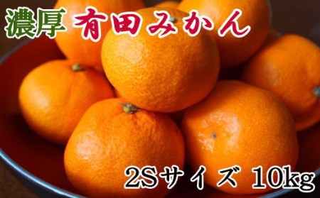 【先行予約】【産直・秀品】 和歌山 有田みかん 10kg（2Sサイズ） ※着日指定不可 ※2024年11月中旬～2025年1月中旬頃に順次発送予定