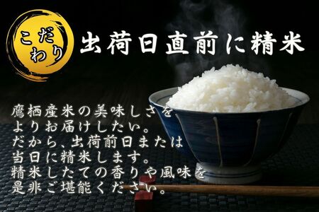 F020　【令和6年産 毎月定期便】 北海道産人気の品種 特別栽培米「ゆめぴりか」真空パック（精白米・10kg×6回）