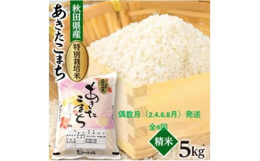 ＜発送月固定定期便＞偶数月発送　特別栽培米あきたこまち5kg全4回【4075613】