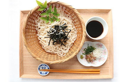 武州羽生名産 齋徳うどん 10人前 明治六年創業 花袋めん プレミアムうどん