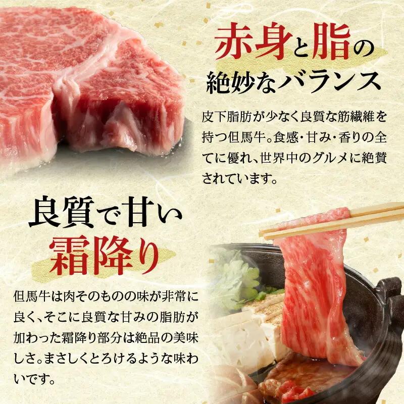 但馬牛 切り落とし 500g 冷凍 牛肉  02-02