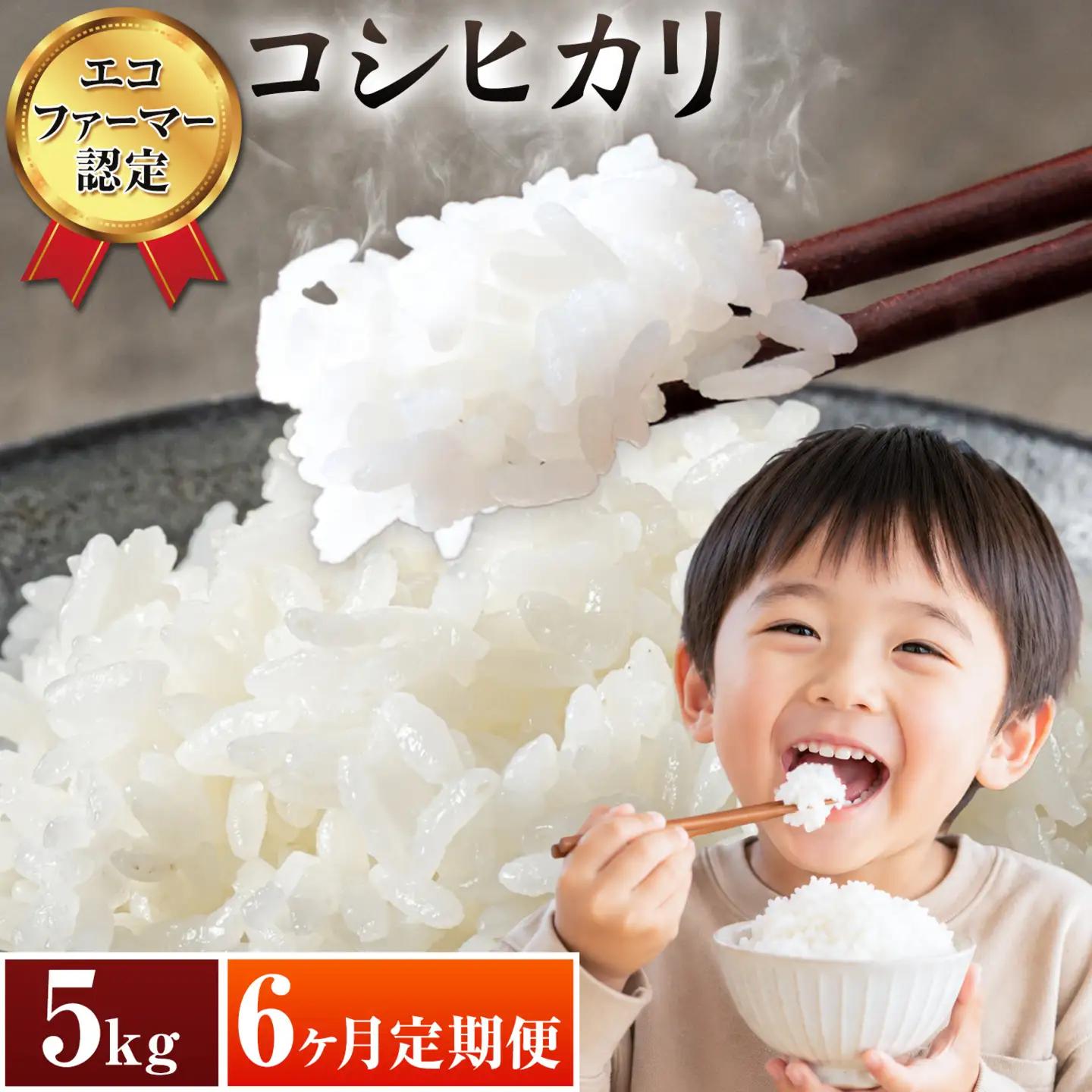 米 コシヒカリ 白米 5kg 6ヶ月 定期便 新宿営農組合 米