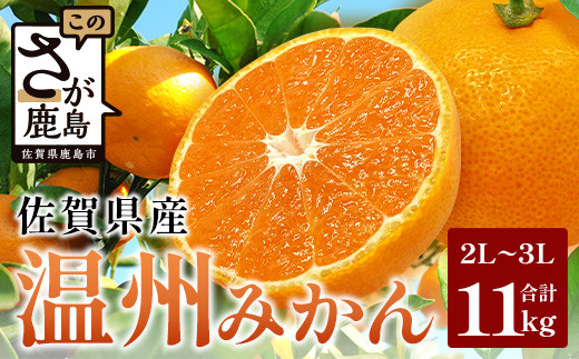 佐賀県産 温州みかん 約11kg（2L～3L混載）大玉みかん【11月下旬～1月上旬ごろ配送】　B-802