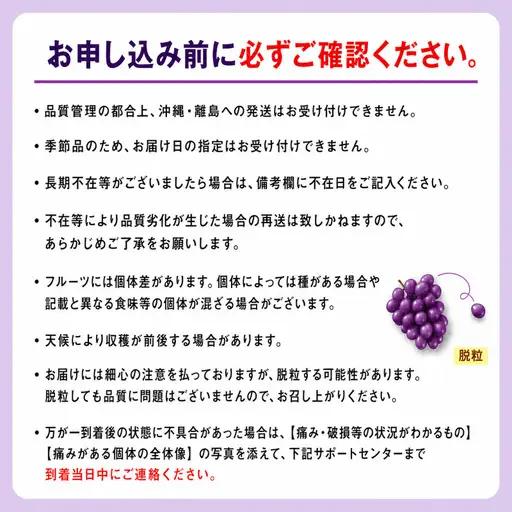ぶどう ピオーネ 種なし 計約1kg 2房 ぶどう